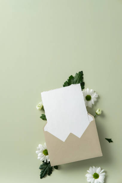 istock Envelope with blank card surrounded by white daisies and green leaves on a light green background. Happy Mothers Day concept 2198591847