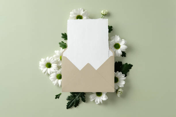 istock Beige envelope with blank card mockup surrounded by white daisy flowers on light green background. Perfect for wedding invitations, greeting cards. 2198591853