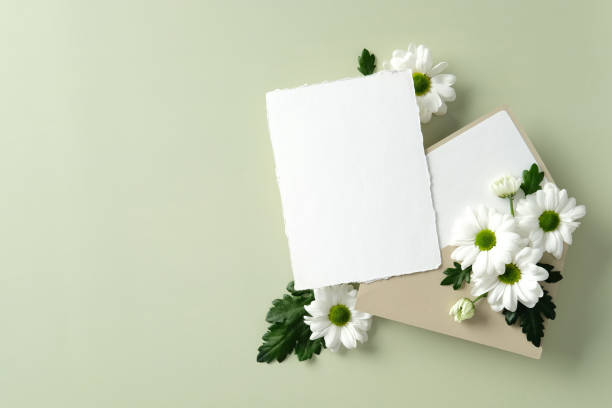 istock White blank card with rough edges and beige envelope surrounded by fresh white daisy flowers and green leaves on a light green background. Wedding stationery set 2198591871