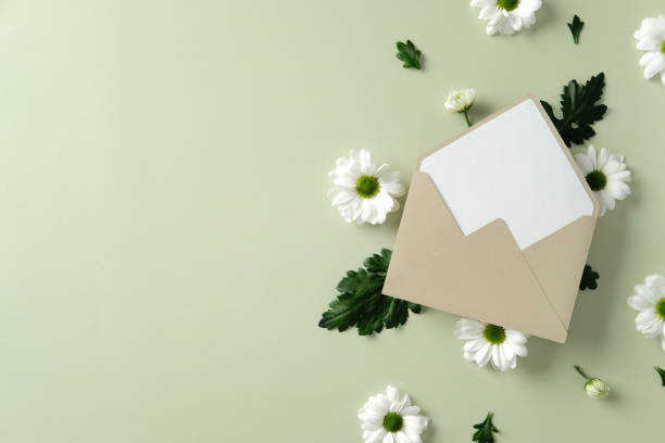istock Beige envelope with blank card surrounded by white daisies on a light green background. Flat lay, top view. 2198591882
