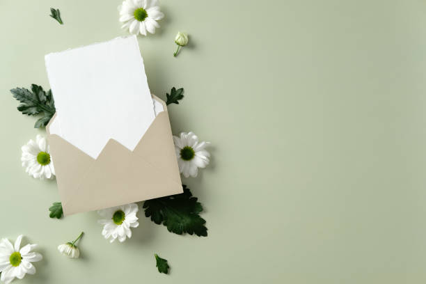 istock Beige envelope with blank card surrounded by white daisies on a light green background. Perfect for invitations, greetings, or announcements 2198592034