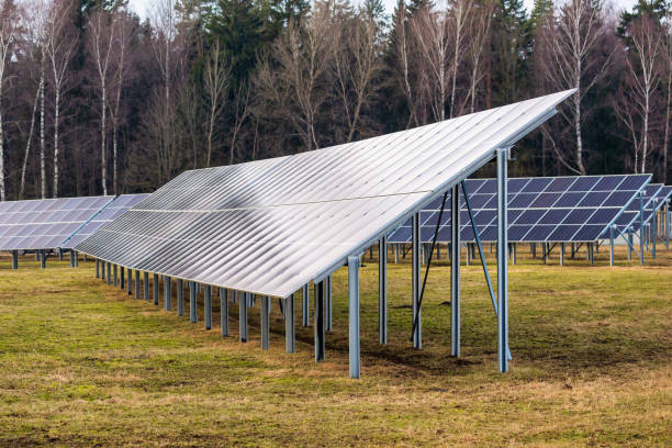 istock Solar Farm with Rows of Panels on Grassy Field in Open Setting 2198593768