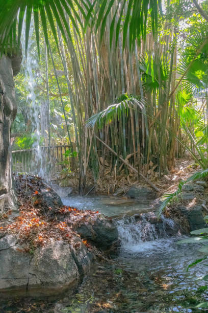 istock Waterfall water flowing into woodland pool 2198600494