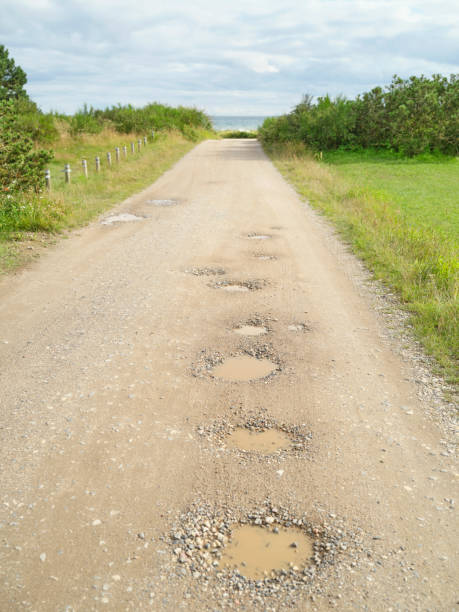 Rural dirt road with pothole puddles surrounded by greenery leading to a distant view under a cloudy sky