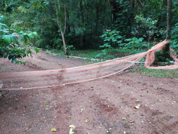 istock Barrier tape blocking the access to a dirt track in a public park 2198605277