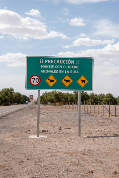 Large warning sign on a desert road advising caution for wildlife crossings. Open landscape stretches toward distant horizon. Perfect for travel and safety themes.