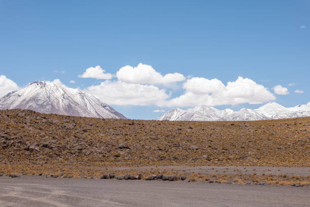 Expansive desert terrain with distant snow-capped mountains. Clear blue sky and sparse vegetation.