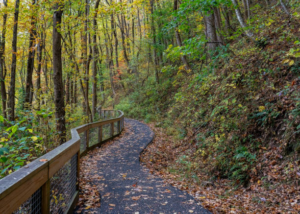 istock West Ridge Falls Access Trail at Amicalola State Park in George is an ADA-compliant pathway to the waterfall made of recycled tire material. 2198607103
