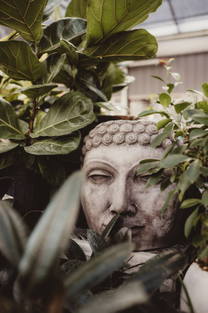 Stone statue head detail. Photo taken in a garden shop in the theme statues section.