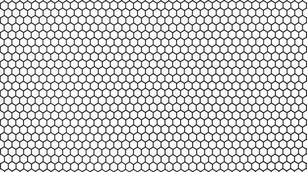 A striking black and white photograph showcasing a landscape-inspired hexagonal beehive honeycomb pattern on a wall. The geometric design creates a visually captivating effect, with alternating light and dark tones adding depth and contrast. The structured symmetry of the hexagons evokes a sense of order and harmony, while the monochrome palette enhances the modern, minimalist aesthetic.