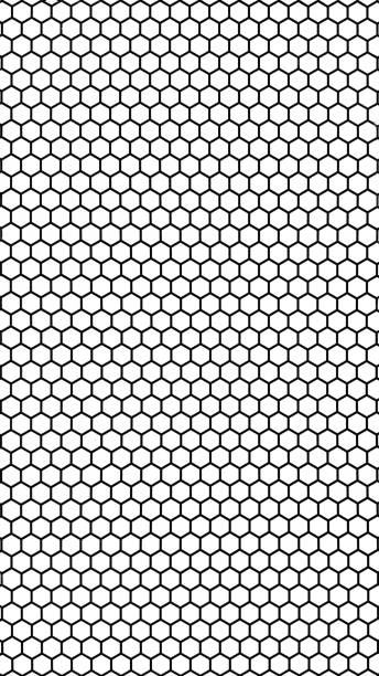 A striking black and white photograph showcasing a landscape-inspired hexagonal beehive honeycomb pattern on a wall. The geometric design creates a visually captivating effect, with alternating light and dark tones adding depth and contrast. The structured symmetry of the hexagons evokes a sense of order and harmony, while the monochrome palette enhances the modern, minimalist aesthetic.