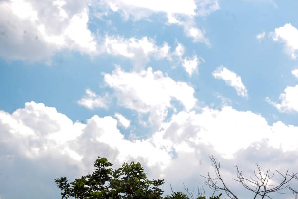 Natural scenery of blue sky and white clouds, taken from the bottom position