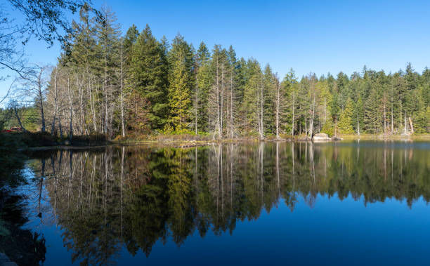 Smugglers Cove Marine Provincial Park hiking trail and viewpoints.