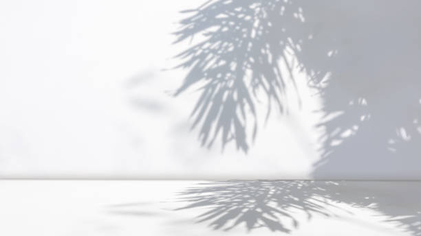 istock Background of nature cement texture with shadow palm leaves, Empty grey cement wall floor and wall room, Luxury backdrop, Wall display product and text present on free space, Spring and summer. 2198620483