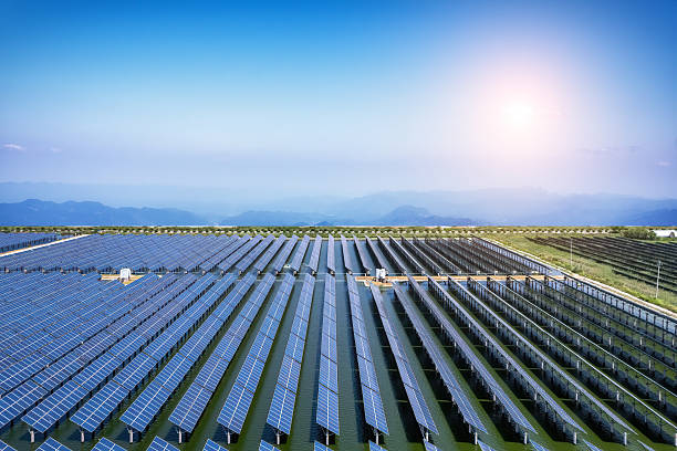 istock Expansive Solar Farm Under Clear Blue Sky at Sunrise 2198621918
