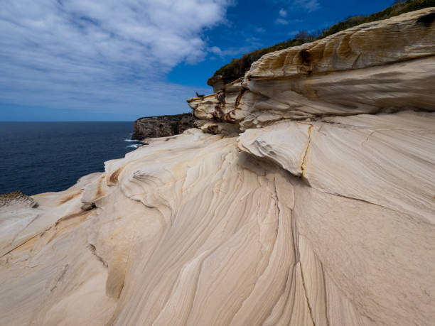 Coastal Cliff Tops on the way to Marley Beach