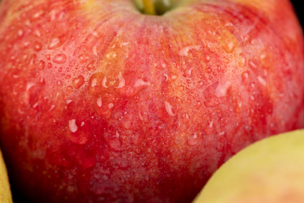 istock fresh crunchy apple with red and green peel 2198628098