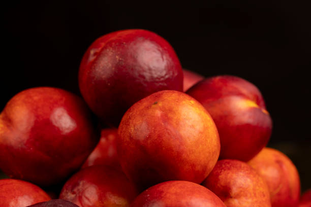a small harvest of ripe washed nectarines