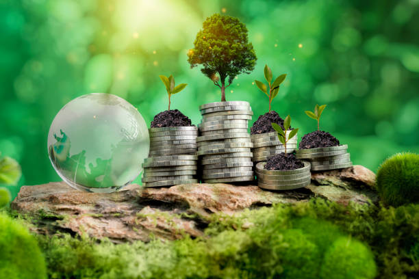istock Coin stacks, and sprouting seedlings on top, representing eco-friendly financial growth. Green Globe 2198629859