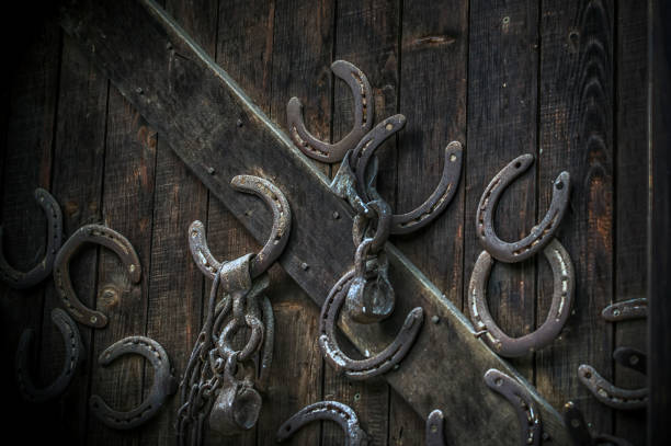 Multiple horseshoes nailed on an old wooden door