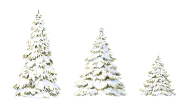 istock Christmas trees with snow on branches watercolor illustration set isolated on white background for Happy New Year greeting cards and cute winter designs. Tall and low Snow-covered spruce 2198638335