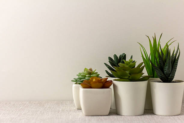 istock Indoor artificial plants, various succulents in pots. Succulents in white mini-pots. Ideas for home decoration. Copy space. 2198639816