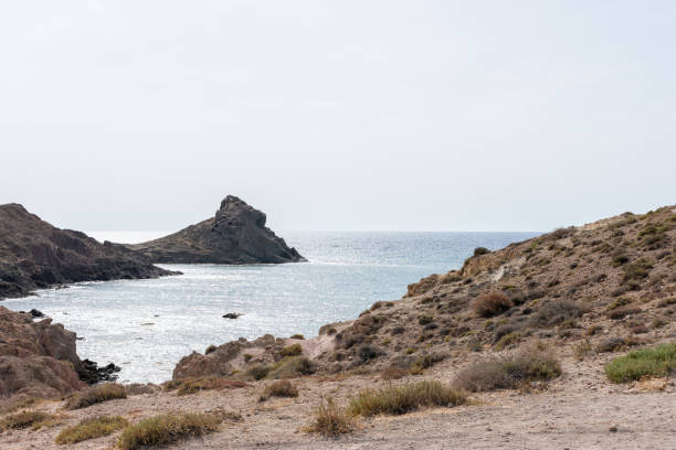 a volcanic reef in the southern mediterranean sea