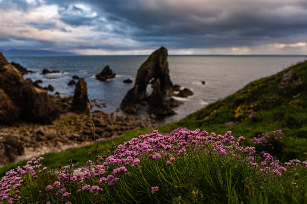 Crohy Head Sea Arch, County Donegal, Ireland