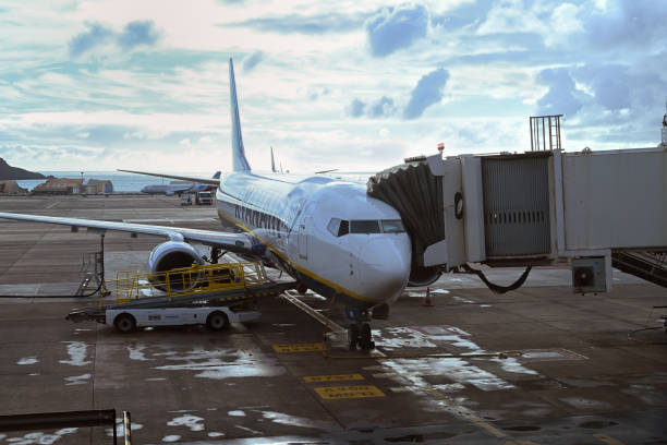 Santander, Spain - July 5, 2011: Ryanair airplane at Santander airport, Spain. This airplane has just arrived to Santander from Madrid and it is being prepared to unload passengers. An air hostess and a member of airport staff from the company appear on the image.