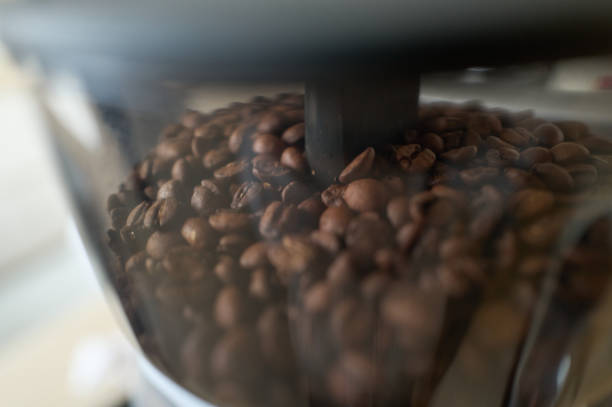 Close-up of roasted coffee beans inside a professional grinder, ready to be ground