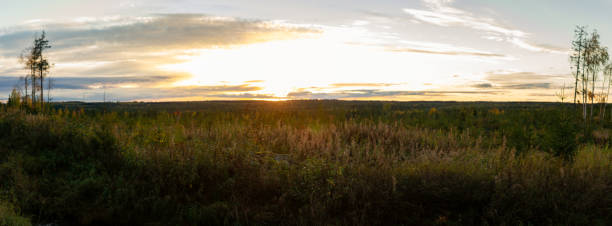 istock Golden sunset over vast Nordic wilderness with open fields, distant horizon, autumn glow, and dramatic sky 2198648858