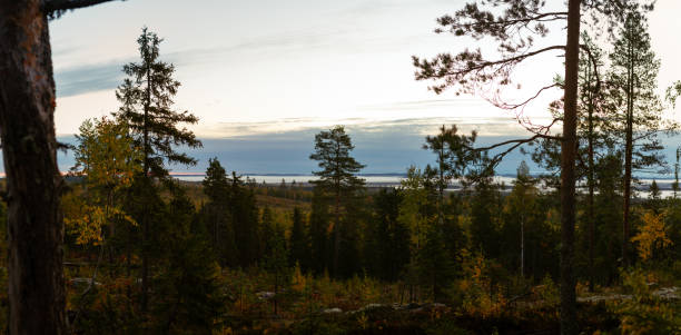 istock Scenic morning view over Nordic forest and distant lakes from a hillside vantage point 2198648884