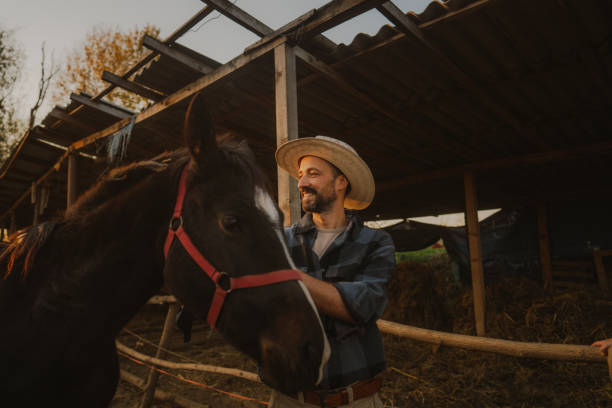 istock Man at the horse ranch 2198650594