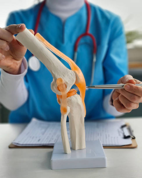 istock Doctor demonstrates knee anatomy using a model in a clinical 2198652420