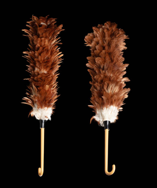 Detailed close up of a brush with many hair strands, suitable for beauty or grooming concepts.