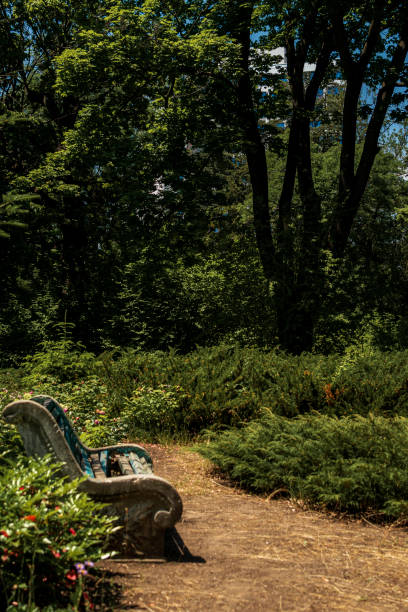 istock On a picturesque path in the park there is a bench for rest 2198653628