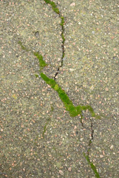 istock fissure on gray asphalt, gray asphalt erosion, soil split from tree roots on a concrete surface, texture of break cracks, gray concrete color background green moss in asphalt cracks, wet fracture 2198655440