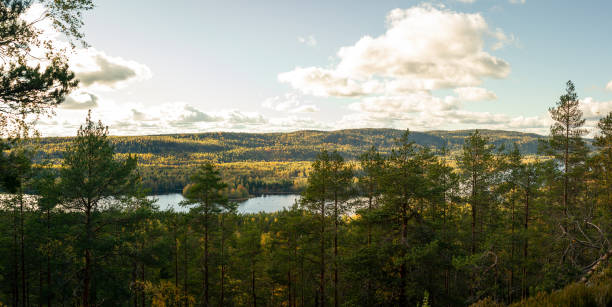 Lush autumn trees cover rolling hills, reflecting golden hues on a peaceful river below. Sunlight highlights the foliage, creating a warm and inviting scene under a dynamic sky. Captured in Finland, Europe. Kolin kansallispuisto, national park.