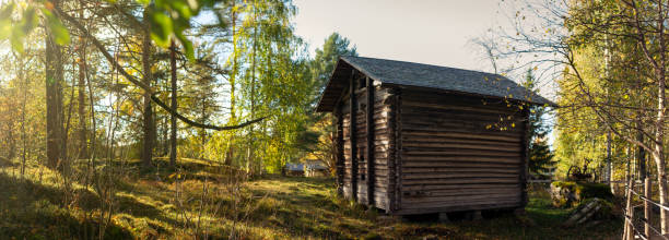 Weathered wooden cabin stands amid golden autumn trees with warm sunlight filtering through branches. Peaceful forest setting with lush grass, rustic fences, and timeless charm of Nordic countryside. Captured in Finland, Europe. Kolin kansallispuisto, national park.
