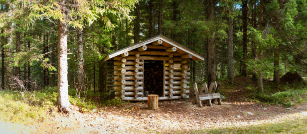 A traditional log cabin stands in the heart of a dense Nordic forest, surrounded by tall pine trees. Sunlight filters through the branches, casting a warm glow on the peaceful woodland. Captured in Finland, Europe. Kolin kansallispuisto, national park.