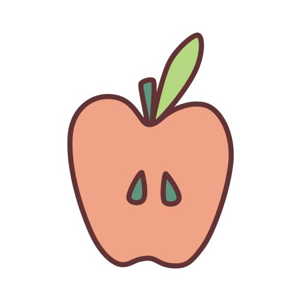 Apple half doodle icon hand drawn with thin line minimalistic style and colored Apple half doodle icon hand drawn with thin line in minimalistic style and colored. Vector illustration isolated on white background an apple a day keeps the doctor away stock illustrations