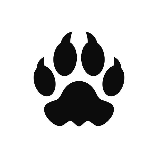 Panther paw print icon. Leopard paw print vector illustration Vector illustration (EPS) leopard stock illustrations