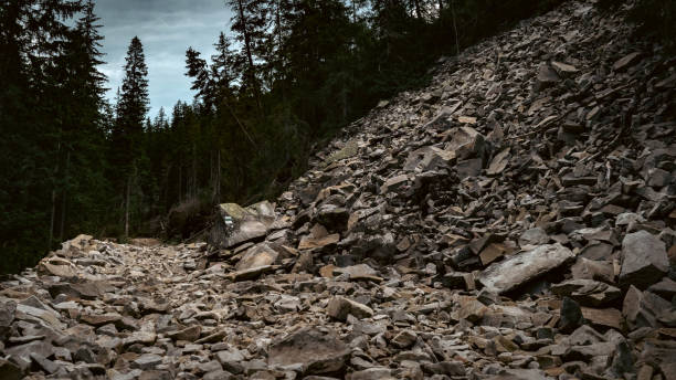 Rocky mountain trail winding through the forest. High quality photo