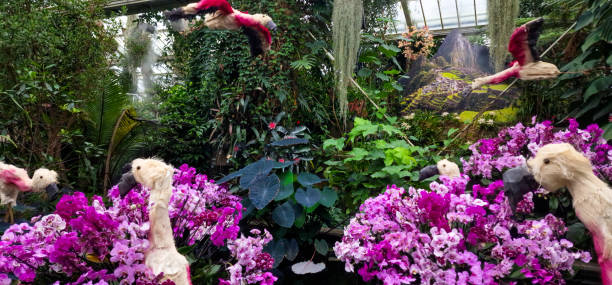 Orchids in Kew Garden