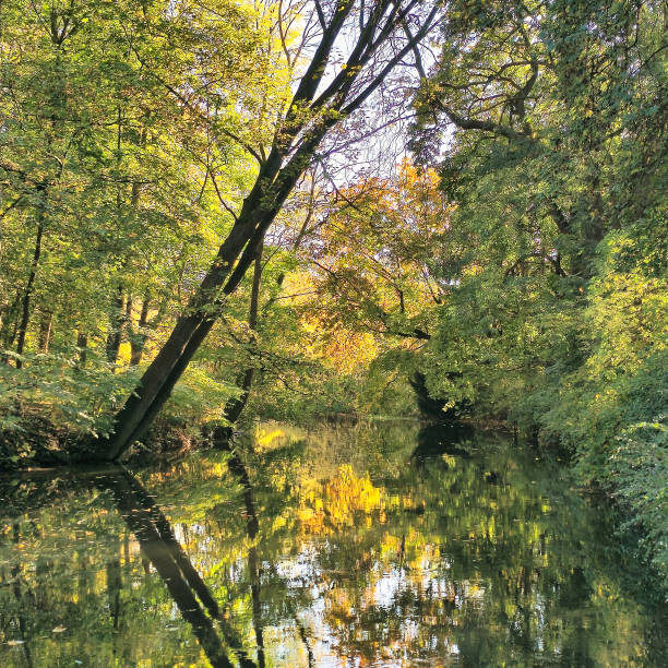 istock A Tranquil River Flowing Gently, Surrounded by Lush Green Trees in Beautiful Autumn Colors Hannover Maschsee 2198684554