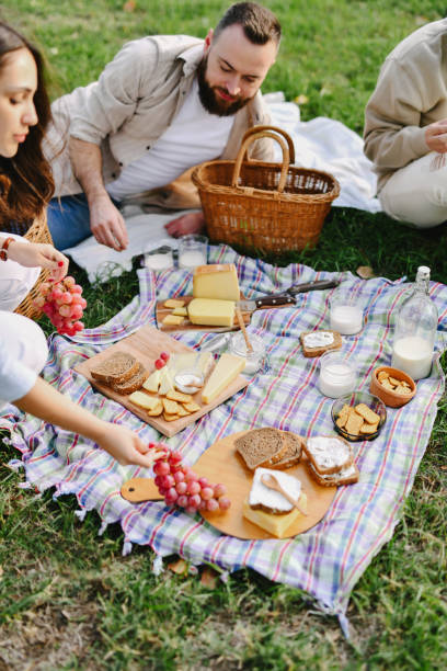 istock Joyful Siblings Lying Down on Picnic Blanket on Meadow Arranging Cheese Boards 2198686080