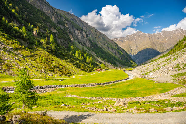 View at the Polles bach at the Polles alm in the Ötztal valley in Tyrol Austria during a beautiful springtime day in the Alps.
