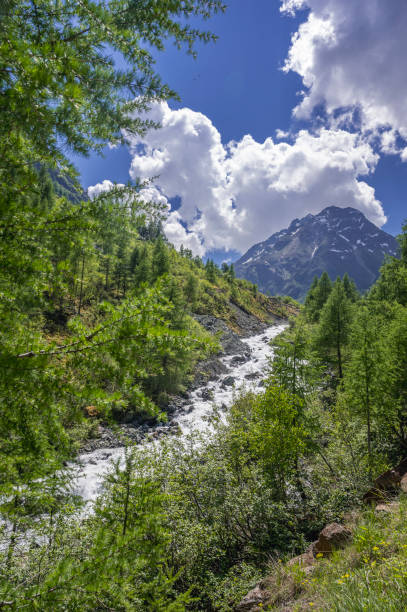 istock Tyrol alps mountain landscape at the Polles tal during springtime 2198687347