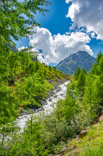 istock Tyrol alps mountain landscape at the Polles tal during springtime 2198687384