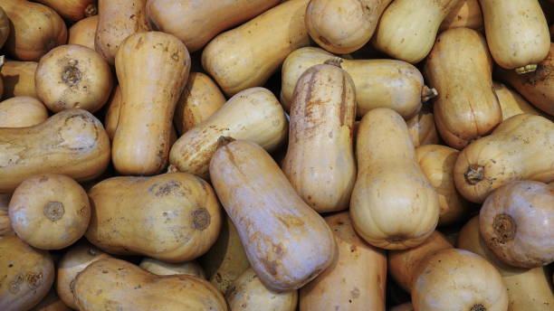 istock Butternut Squash Abundant Top-View Earthy Brown Harvested Fresh Produce 2198689486